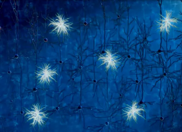 Optogenetics is a revolutionary new research technique that enables scientists to use light to precisely control the activity of neurons in the brain.