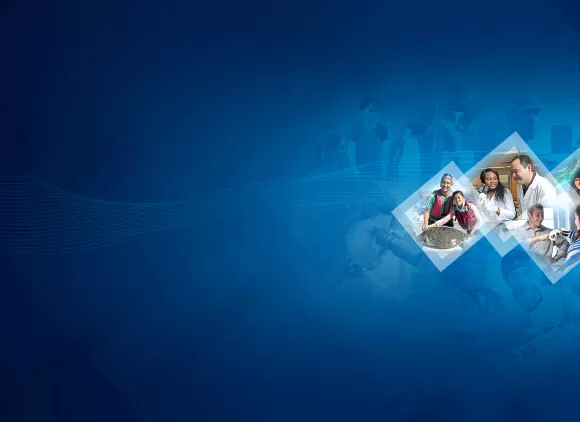 A collage of people measuring a sea turtle, using a microscope, fist-bumping with a prosthetic hand, and smiling