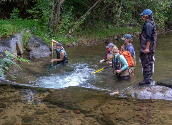 Five students standing in a stream wearing waders and holding electrofishing equipment and nets.