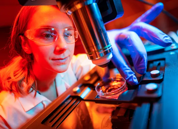 A researcher at UC San Diego, studying human brain organoids, centers a petri dish under a microscope