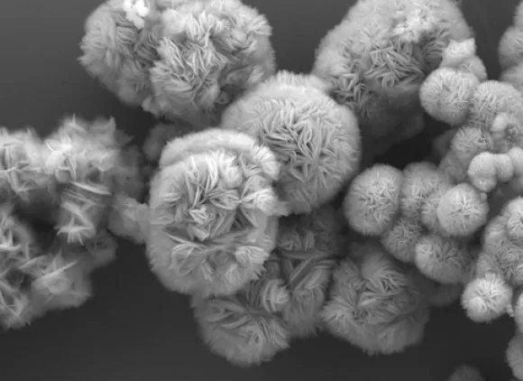 A scanning electron microscopy image reveals the beautiful shapes of MXenes, of interest to scientists for new devices and electronics.