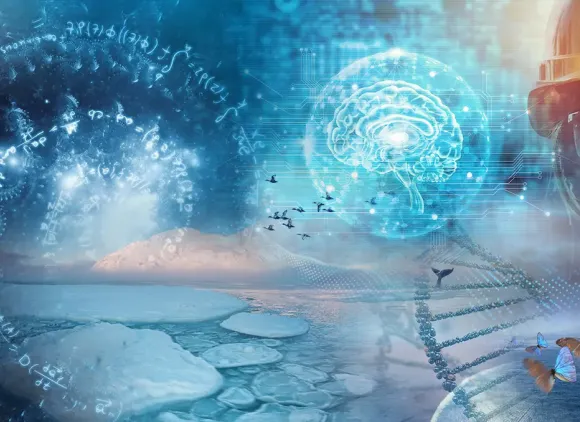 Program header default