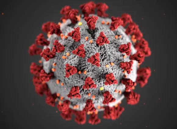 Detailed illustration of a coronavirus particle