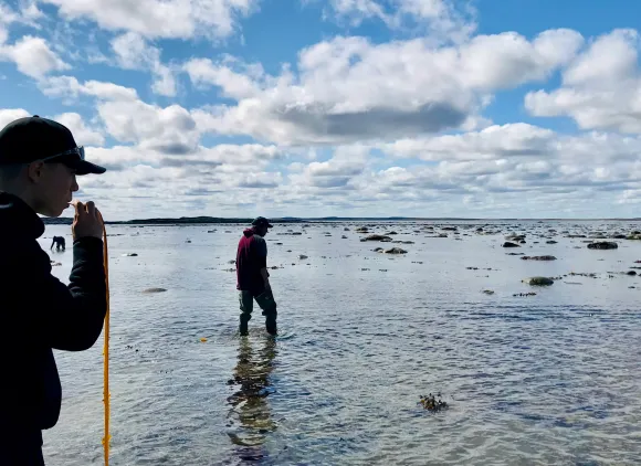 Two people wading in a shallow bay.