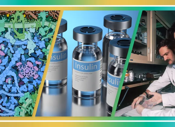Three-panel image. On left, an illustration of insulin binding insulin receptors in a cell. In center, vials of synthetic insulin. On right, two male scientists in a lab working with recombinant DNA. 