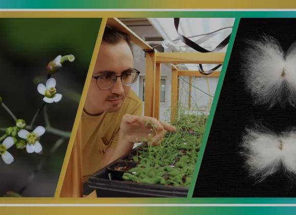 Agricultural biotechnology impact story Hero Image