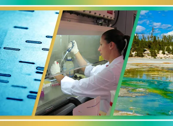 A composite image. Left image of DNA data. Center image of a woman in a white lab coat wearing gloves using lab equipment to transfer cells. Right image of a thermal feature in Yellowstone National Park.