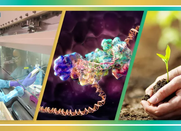 A three-panel composite. At left, a woman in a lab works at a fume hood. In the middle, an illustration of a protein connected to a strand of DNA. At right, hands holding a clump of soil containing a small plant.