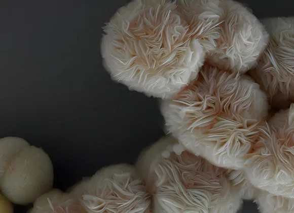 Microscopic image of finely layered spherical metal objects called MXenes