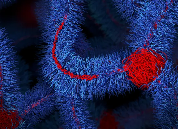 Illustration of polymer material at microscopic level with many squiggly blue lines
