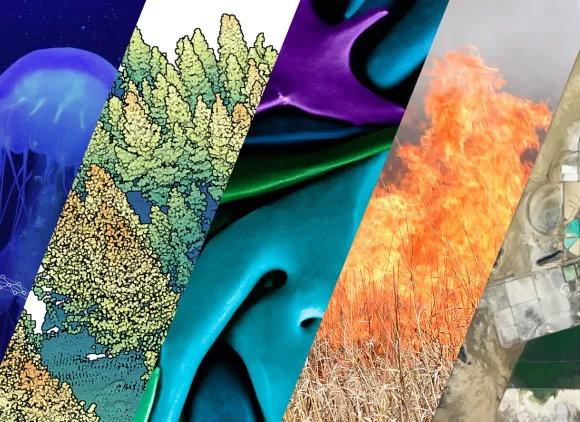 different images of NSF GEO Website Special Interests