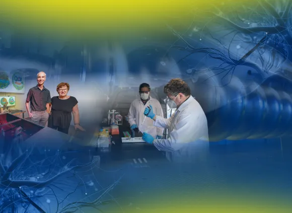 Collage of images representing BIO-funded centers and institutes