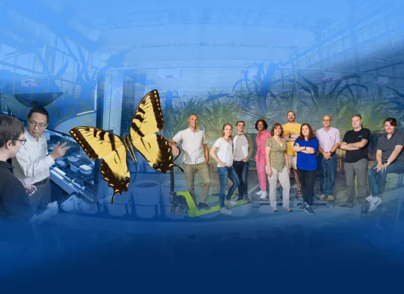 Collage of images of BIO-funded user-facing resources and facilities.