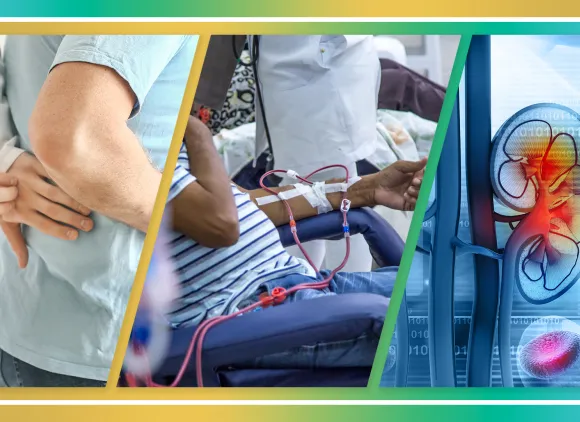Left: Doctor examining kidneys of patient in clinic. Center: Kidney dialysis patients. Right: Digital illustration of a kidney.