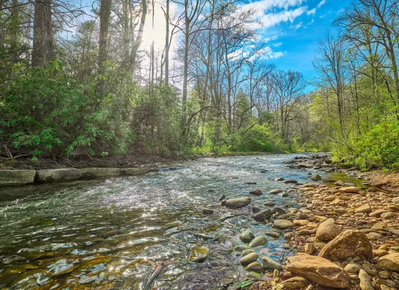 Mills River in the Pisgah National Forest, North Carolina