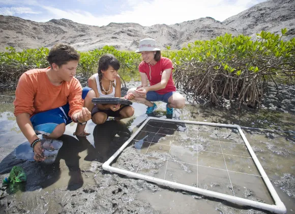 Two students and an instructor kneeling in a wetland next to an experimental grid made of PVC and string.