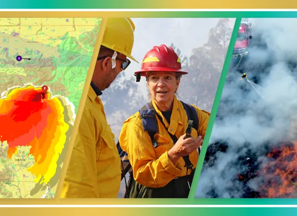 Wildfire_Impact Story