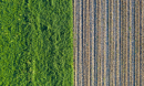 aerial view of a crop field next to a forest 