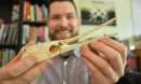 man holding fish skull