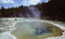 Brock at mushroom pool