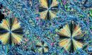 New crystal form of imidacloprid insecticide