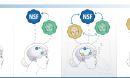 Sleep replay, memory formation, memory association, Science Matters