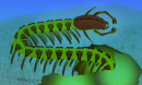 Artist's impression of a 525-million-year-old Cardiodictyon catenulum on the shallow coastal sea floor.