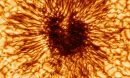 close up of a sun spot