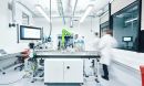 A blurred photo of lab workers moving around a bright laboratory