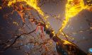 3D rendering neurons