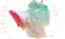 A diagram depicting brain connectivity, where neurons are represented as points.