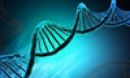 dna illustration