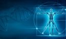 A new study has pinpointed the genes that shape our skeletons.