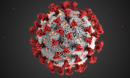 Detailed illustration of a coronavirus particle