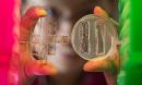 Tool created to conduct two biochar experiments in the same dish