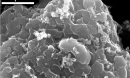 Scanning electron microscope image of layered stacks of nano-scale flash graphene sheets formed from waste plastic.