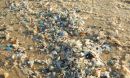Microplastics on the Beach