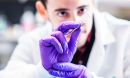A gloved researcher holds a translucent object with tweezers.
