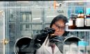 A researcher in a lab coat manipulates samples in an enclosed glove box.