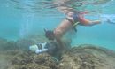 Maui coral reef diver