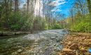 Mills River in the Pisgah National Forest, North Carolina