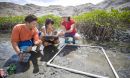 Two students and an instructor kneeling in a wetland next to an experimental grid made of PVC and string.