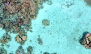 Aerial view of a turquoise ocean with corals and sea cucumbers.