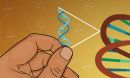 A hand placing a transposable element into a genome, among the chaos of other transposable elements in the background