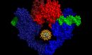 Enabling the biotechnology industry