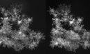 two images of a snowflake