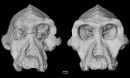 3D reconstruction of MRD-VP-1/1