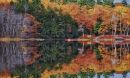 New England with fall trees in the background on a lake