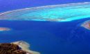 A coral reef oasis.
