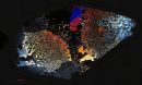 A photomicrograph mosaic of rocks beneath the ocean floor.